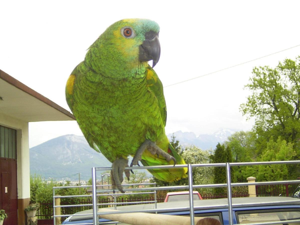 Le Paon Bleu Annecy Poisy Bed & Breakfast Eksteriør bilde